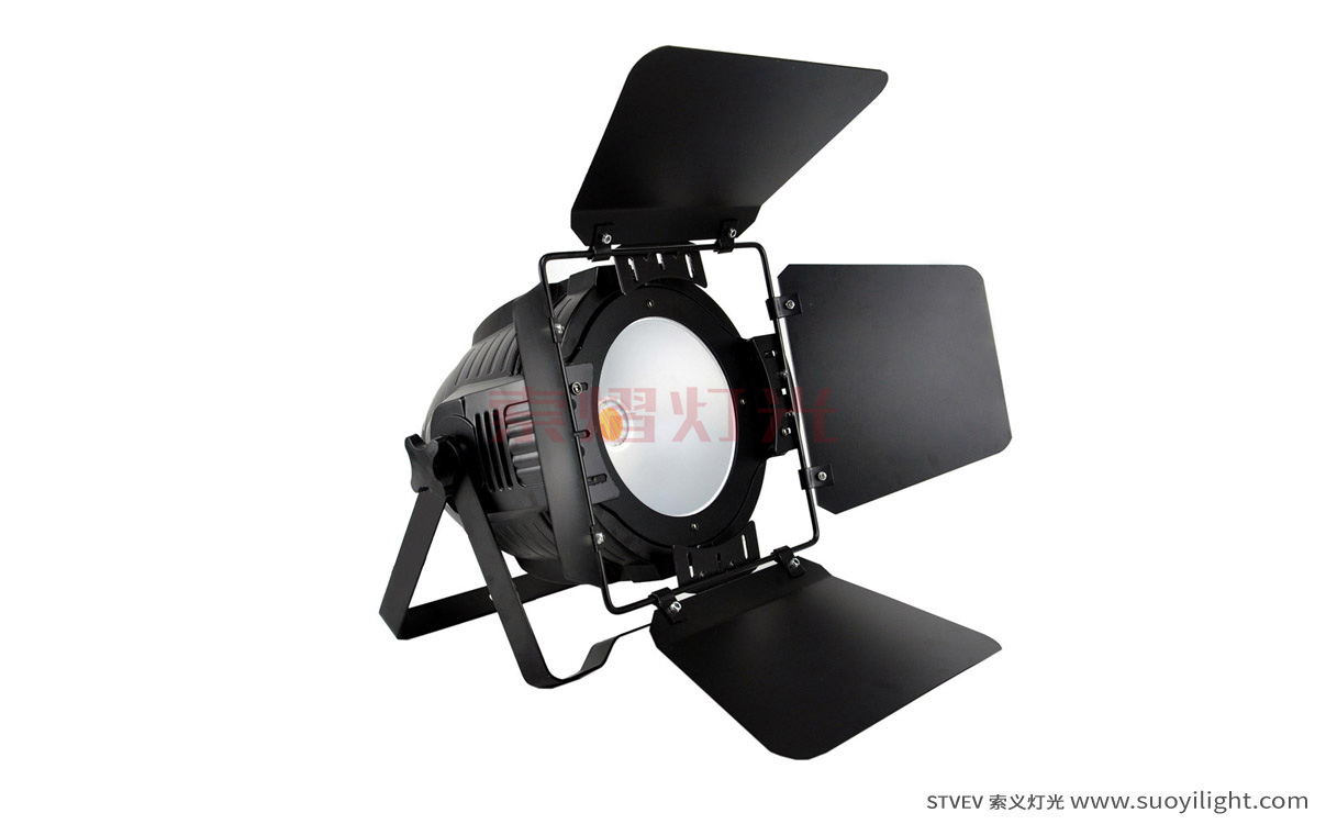 Portugal200W COB LED Par Light