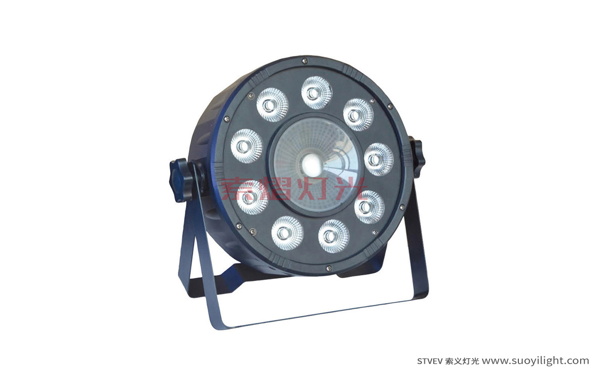 Portugal9+1 LED Plastic Par Light