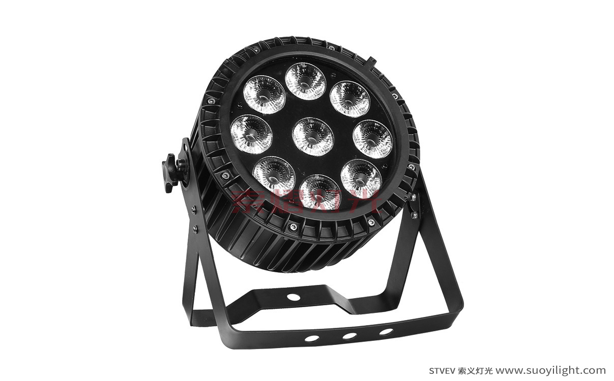 Portugal9*12W 4 in 1 Waterproof LED Par Light