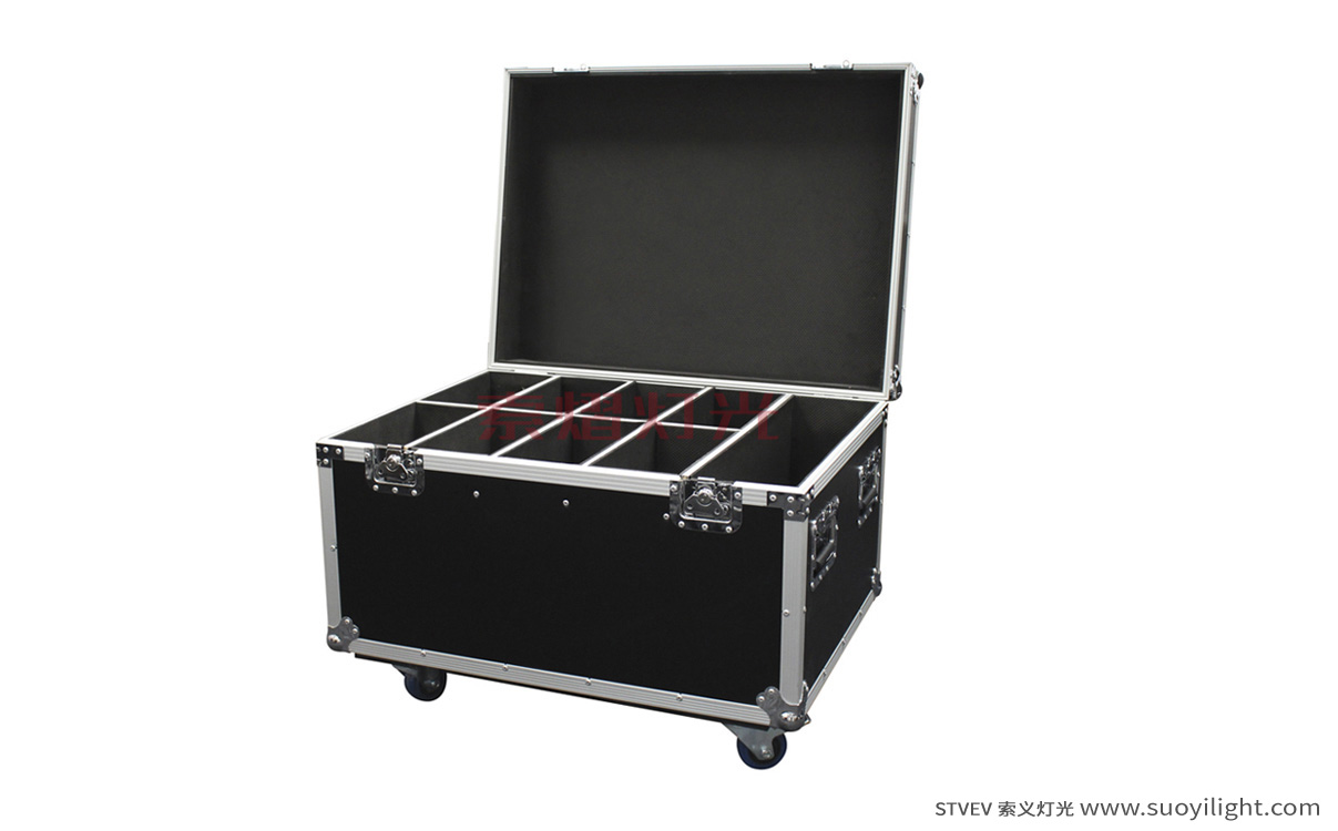 Portugal8in1 Par Light Flight Case