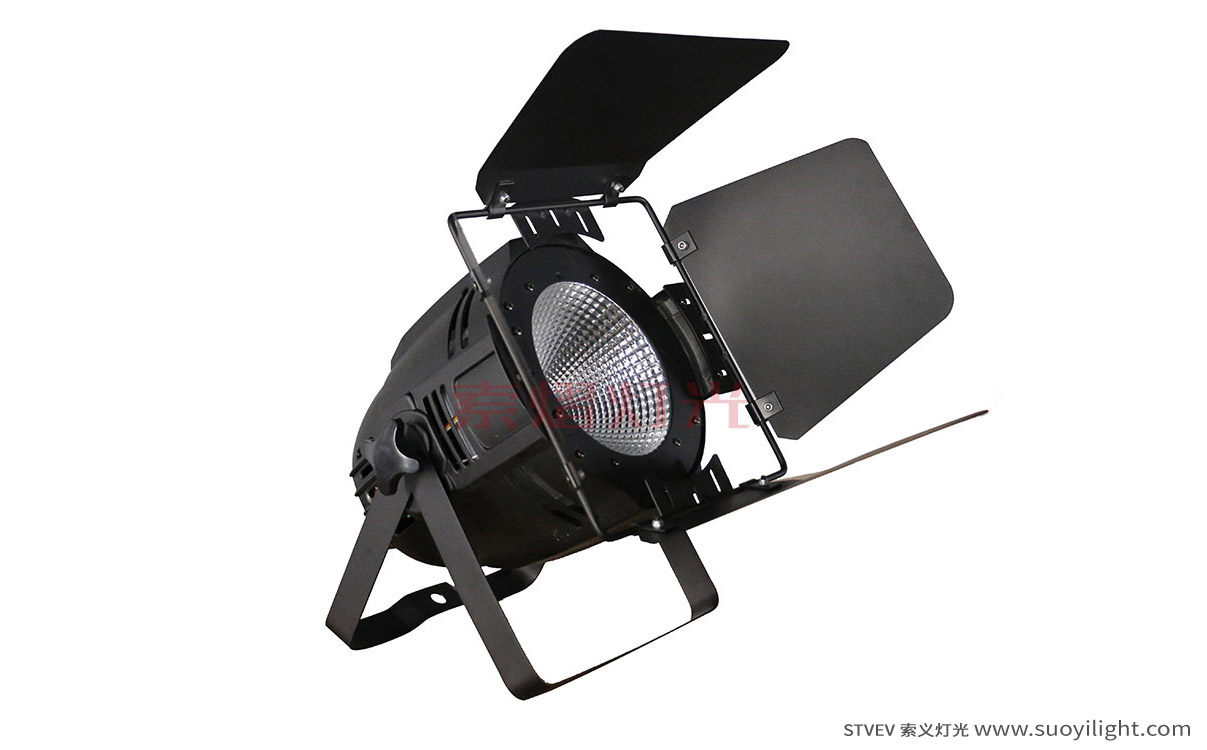 Portugal100W LED COB Par Light