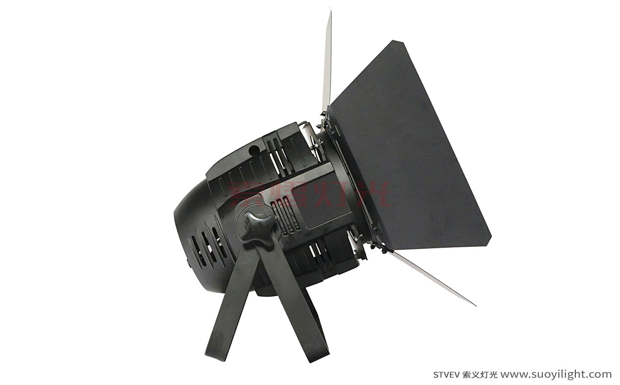 Portugal100W LED COB Par Light