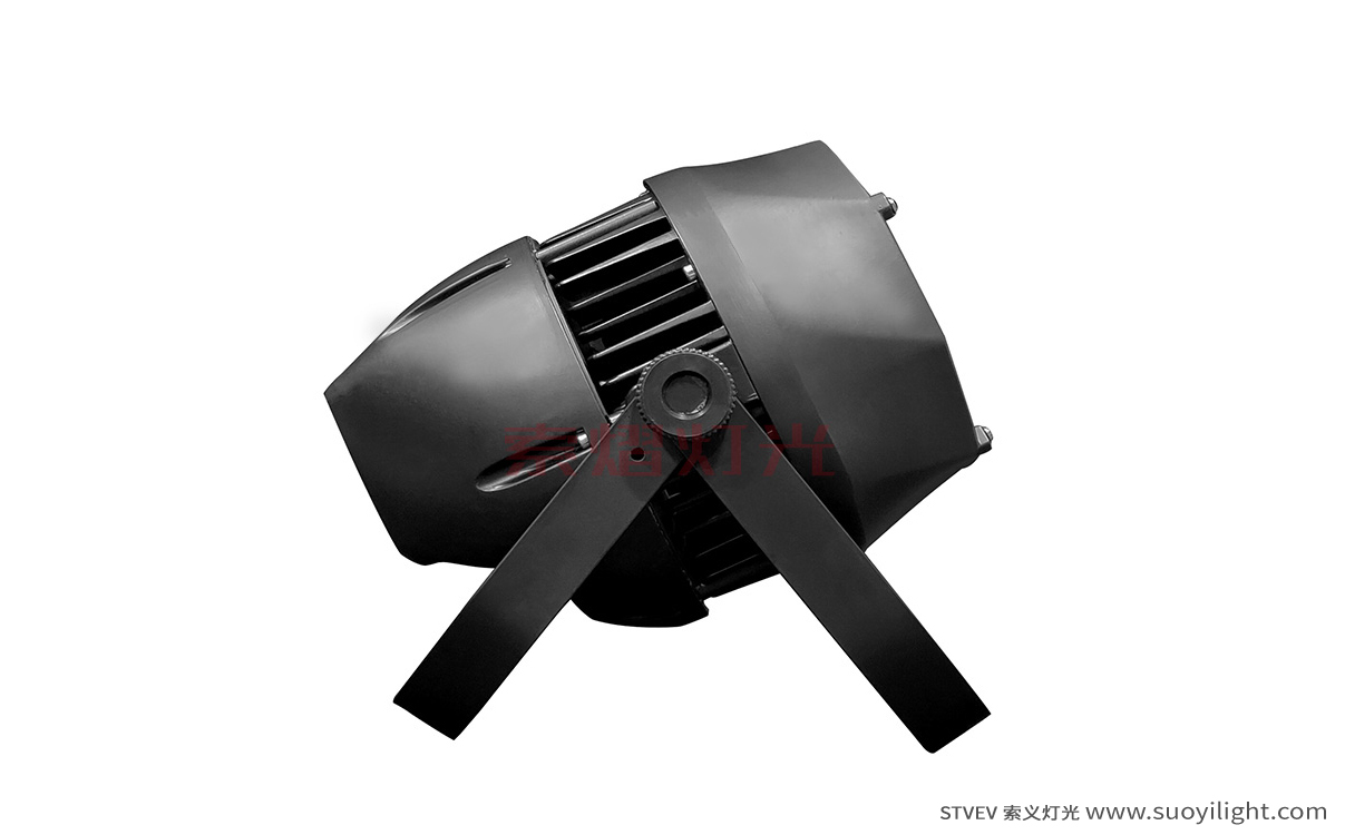 Portugal200W Waterproof COB Par Light