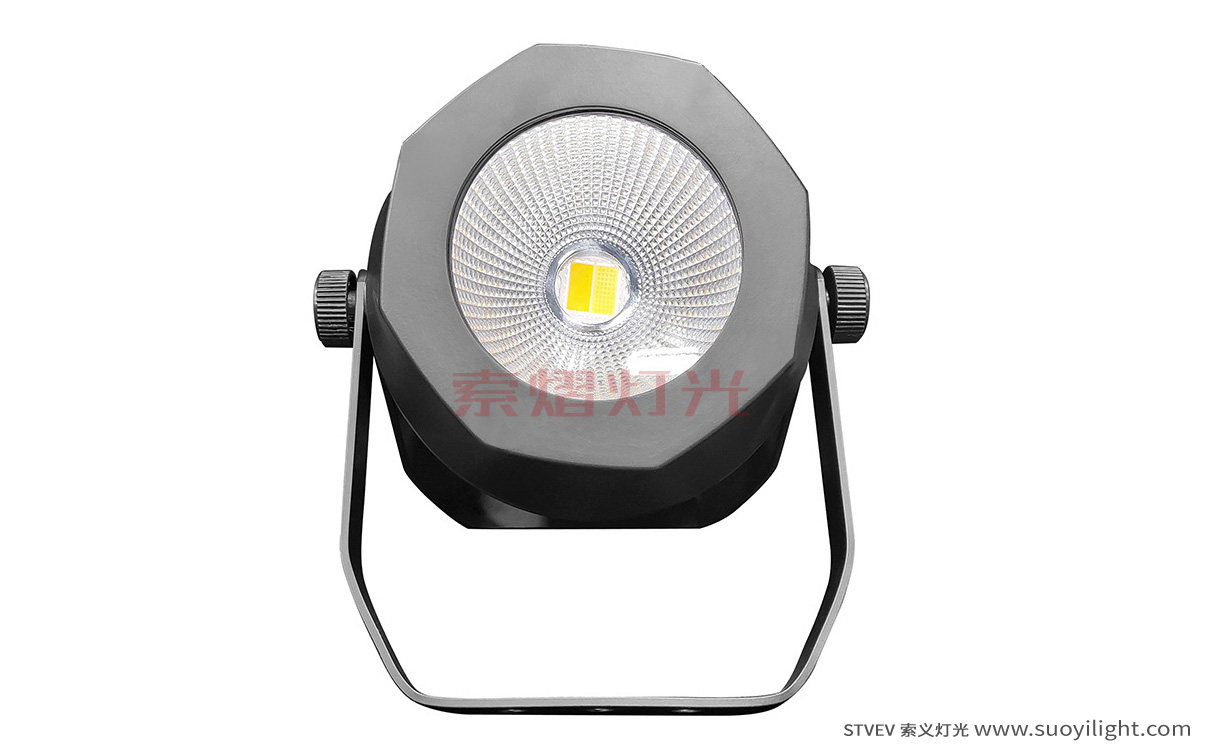 Portugal200W Waterproof COB Par Light