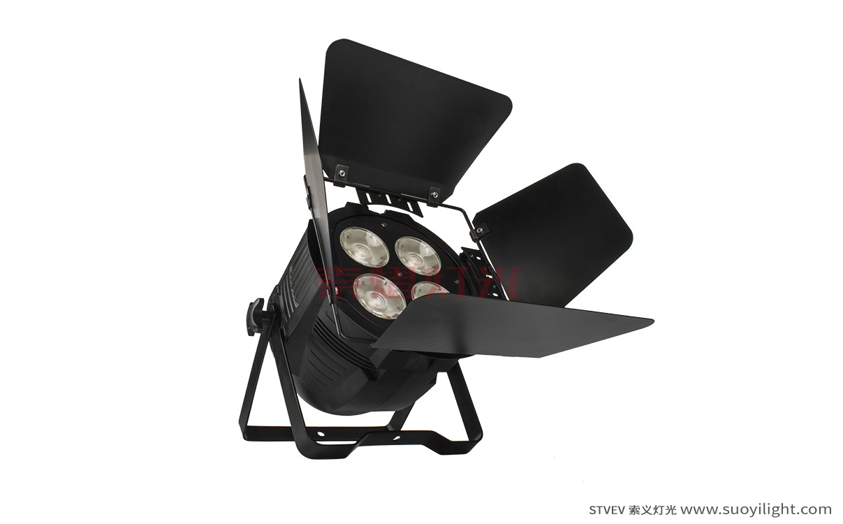 Portugal4 Eyes 200W COB Par Light