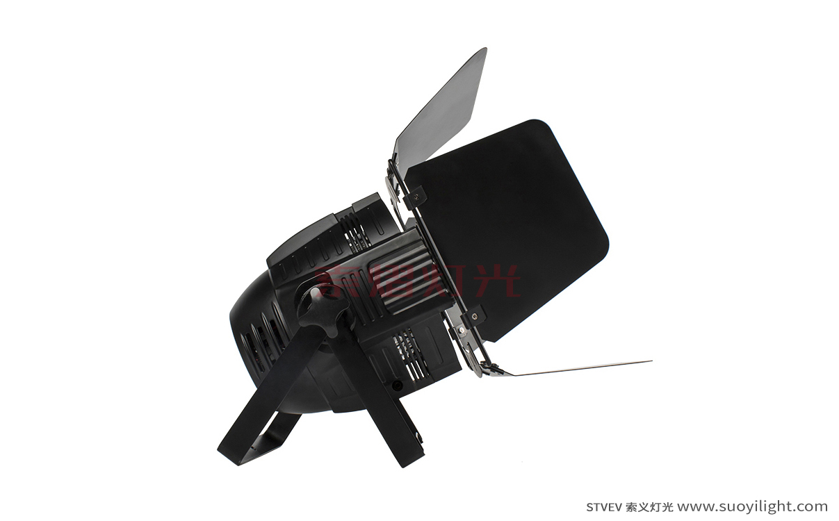 Portugal4 Eyes 200W COB Par Light